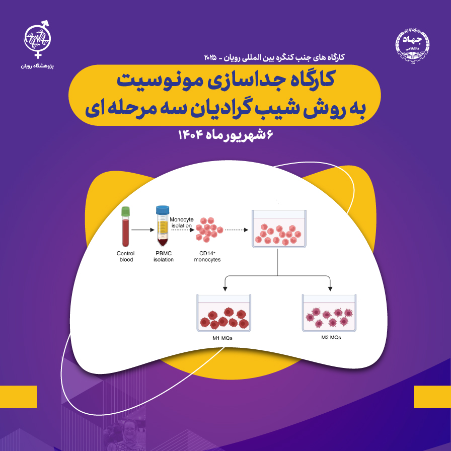 نام دوره